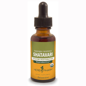 Shatavari Organic Extract 1 oz.