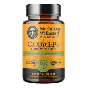 Cordyceps Capsules