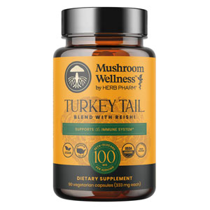 Turkey Tail Organic 90 Capsules