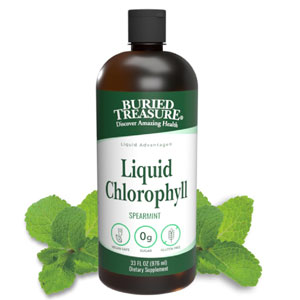 Chlorophyll Liquid Spearmint 16oz