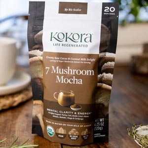 7 Mushroom Mocha Organic